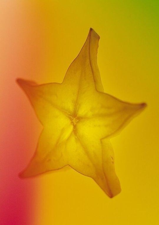 Das Asterisk oder Asteriskus ist das Sternchen unter den Satzzeichen. Das Asterisk oder Asteriskus ist das Sternchen unter den Satzzeichen.