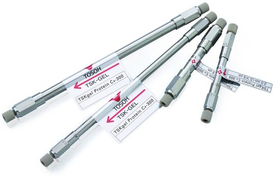 TSKgel Protein C4-300 Säulen sind gefüllt mit hochreinen, wide-pore 3 µm Silikapartikeln, die mit Butyl-Gruppen funktionalisiert wurden. (Bild: Tosoh Bioscience)