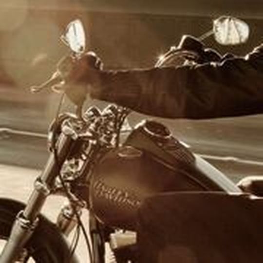 Deutsche Harley-Händler liefern Probefahrtträume schlechthin frei Haus. (Foto: Harley-Davidson) Deutsche Harley-Händler liefern Probefahrtträume schlechthin frei Haus. (Foto: Harley-Davidson)