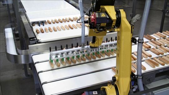 Vier einzelne Bänder sind erforderlich, um den „Strom“ der Brötchen zu den Verpackungs- maschinen zu bringen. (Bild: ASA) Vier einzelne Bänder sind erforderlich, um den „Strom“ der Brötchen zu den Verpackungs- maschinen zu bringen. (Bild: ASA)