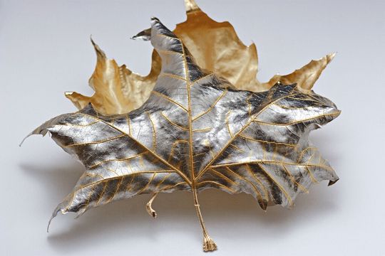 Schön und zerbrechlich: Die Präzision des Verfahrens der selektiven Veredelung von Kleinteilen zeigt sich an diesem Ahornblatt. Schön und zerbrechlich: Die Präzision des Verfahrens der selektiven Veredelung von Kleinteilen zeigt sich an diesem Ahornblatt.