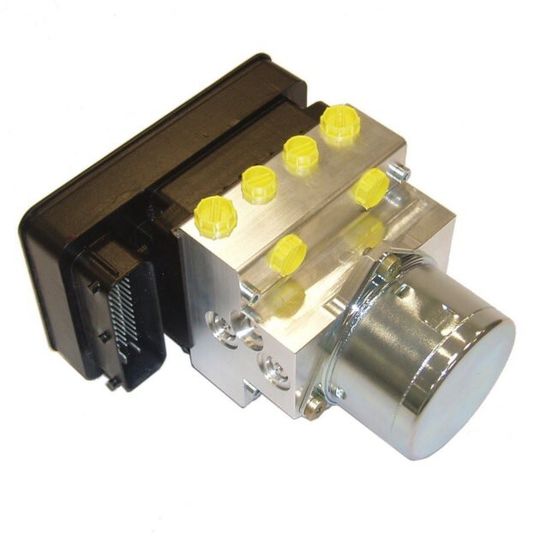 Mit seiner neuen modularen elektronischen Stabilitätskontrolle macht TRW das System weltweit für alle Fahrzeugklassen verfügbar.