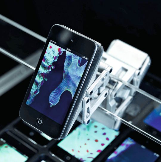 NanoForceGripper - energieeffizienter Greifer, dessen Elemente dem natürlichen Vorbild des Geckos nachempfunden sind.