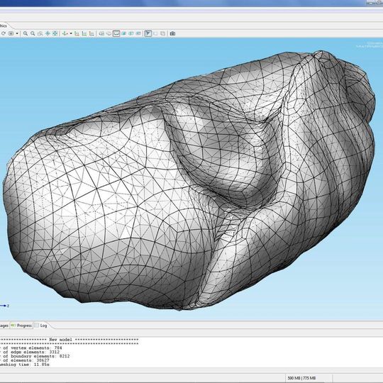 Diese geometrische Darstellung einer Lunge wurde über das COMSOL CAD Import Modul importiert. Der Vernetzungsalgorithmus erzeugt ein Standard-Netz in 30 Sekunden auf einer gebräuchlichen Dual-Core Workstation. Wenn virtuelle Geometrieoperationen verwendet werden, um den Einfluss vernachlässigbarer Geometriekanten und –oberflächen zu minimieren, benötigt man lediglich 10 Sekunden, um ein gröberes Netz zu erzeugen. Diese geometrische Darstellung einer Lunge wurde über das COMSOL CAD Import Modul importiert. Der Vernetzungsalgorithmus erzeugt ein Standard-Netz in 30 Sekunden auf einer gebräuchlichen Dual-Core Workstation. Wenn virtuelle Geometrieoperationen verwendet werden, um den Einfluss vernachlässigbarer Geometriekanten und –oberflächen zu minimieren, benötigt man lediglich 10 Sekunden, um ein gröberes Netz zu erzeugen.