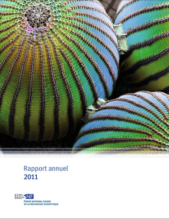 Le rapport annuel 2011 du FNS - Fonds National Suisse peut être commandé sur le site web. Le rapport annuel 2011 du FNS - Fonds National Suisse peut être commandé sur le site web.