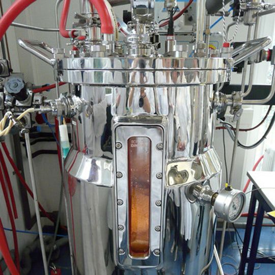 Die Wissenschaftler der TU Dresden wollen einen konventioneller Bioreaktor im Pilotmaßstab mit einem Fassungsvermögen von 70 Litern so modifizieren, dass die Wasserstoff-produzierenden Mikroorganismen im Inneren mit Licht kultiviert werden können. Die Wissenschaftler der TU Dresden wollen einen konventioneller Bioreaktor im Pilotmaßstab mit einem Fassungsvermögen von 70 Litern so modifizieren, dass die Wasserstoff-produzierenden Mikroorganismen im Inneren mit Licht kultiviert werden können.