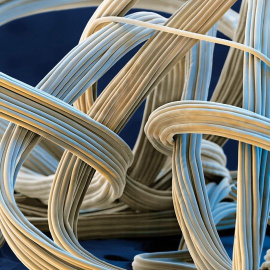 Spandex fibers ensure the permanent elasticity of many textiles. Seen through an electron microscope, the fibers consist of several filaments. One of the raw materials of these fibers is PolyTHF, which BASF supplies to spandex manufacturers. Spandex fibers ensure the permanent elasticity of many textiles. Seen through an electron microscope, the fibers consist of several filaments. One of the raw materials of these fibers is PolyTHF, which BASF supplies to spandex manufacturers.