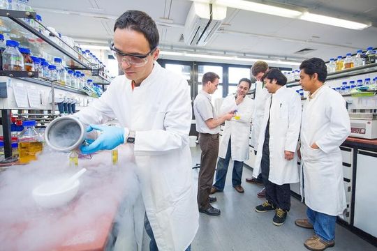 Entdeckten ungewöhnliche Bakterien-Werkzeuge: Dr. Christian Gurgui, Prof. Dr. Jörn Piel, Michael Freeman, Maximilian Helf, Brandon Morinaka und Agustinus Uria im Labor (von links). Entdeckten ungewöhnliche Bakterien-Werkzeuge: Dr. Christian Gurgui, Prof. Dr. Jörn Piel, Michael Freeman, Maximilian Helf, Brandon Morinaka und Agustinus Uria im Labor (von links).