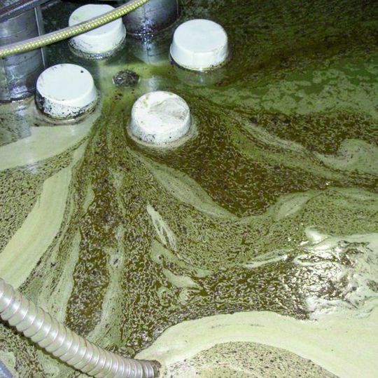 Bild 1: In einer Schleifmaschine mit einem 400-l-Maschinenbehälterinhalt beginnt die Reinigung mit der Mikroflotation. Bild 1: In einer Schleifmaschine mit einem 400-l-Maschinenbehälterinhalt beginnt die Reinigung mit der Mikroflotation.