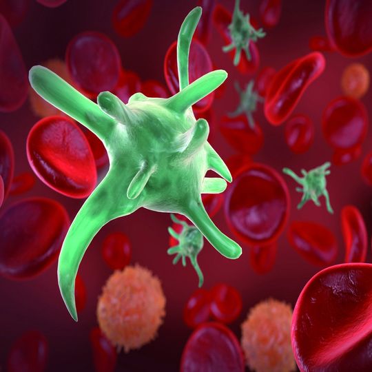 Abb.1: Mit verschiedenen diagnostischen Verfahren kann die Anzahl und die Funktion von Thrombozyten festgestellt werden. Abb.1: Mit verschiedenen diagnostischen Verfahren kann die Anzahl und die Funktion von Thrombozyten festgestellt werden.