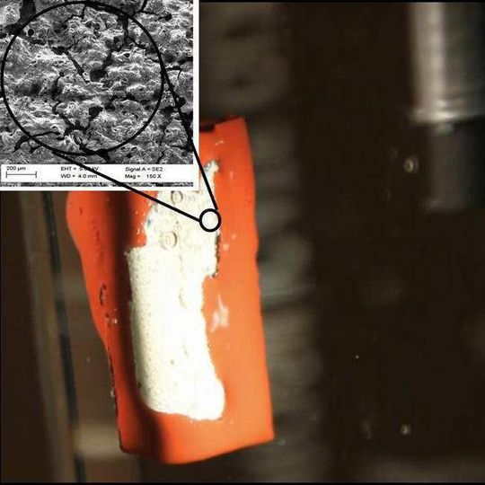 Wasserstoff-Entwicklung an einer graphitischen Kohlenstoff-Nitrid/p-Typ-Chalkopyrit Dünnschicht-Photokathode: Graphitische Kohlenstoffnitrid-Filme, die auf p-Typ-CuGaSe2-Dünnschichten aufgelagert sind, können erfolgreich als neue photoelektrochemische Bestandteile von Photokathoden zur licht-induzierten Wasserstoffproduktion genutzt werden.
