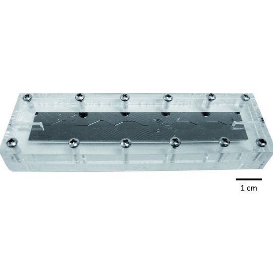 Abb. 1: Mikrofluidische Einheit, die in den beschriebenen Experimenten zum Einsatz kam. Abb. 1: Mikrofluidische Einheit, die in den beschriebenen Experimenten zum Einsatz kam.