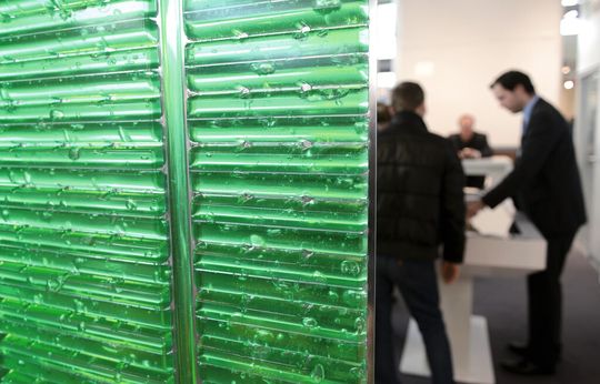 Algenbiotechnologie ist ein Zukunftsthema, das auf der Industrial GreenTec behandelt wird.