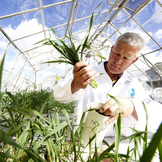 As herbcicide resistance becomes increasingly problematic, agro–scientists called for new research initiatives at a recent symposium hosted by Bayer CropScience. As herbcicide resistance becomes increasingly problematic, agro–scientists called for new research initiatives at a recent symposium hosted by Bayer CropScience.