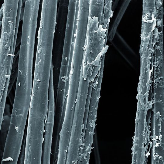 Energiereiche Strahlung verbessert die Haftung zwischen Naturfasern (Flachsfasern, REM-Aufnahme) und Polyolefinmatrix signifikant. Damit eröffnen sich für die künftige Fertigung von FVK-Bauteilen neue Perspektiven. Energiereiche Strahlung verbessert die Haftung zwischen Naturfasern (Flachsfasern, REM-Aufnahme) und Polyolefinmatrix signifikant. Damit eröffnen sich für die künftige Fertigung von FVK-Bauteilen neue Perspektiven.