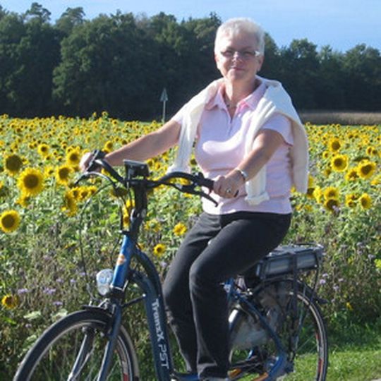 Pedelecs bis 25 km/h dürfen ohne Helm und auf Radwegen gefahren werden. Pedelecs bis 25 km/h dürfen ohne Helm und auf Radwegen gefahren werden.