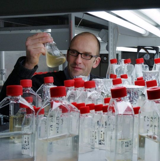 Prof. Dr. Georg Pohnert bei der Überprüfung von Algenkulturen. Prof. Dr. Georg Pohnert bei der Überprüfung von Algenkulturen.
