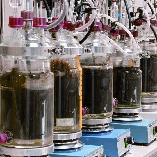 In anaeroben Labor-Bioreaktoren werden die Reststoffe aus der Olivenölproduktion vergoren. In anaeroben Labor-Bioreaktoren werden die Reststoffe aus der Olivenölproduktion vergoren.