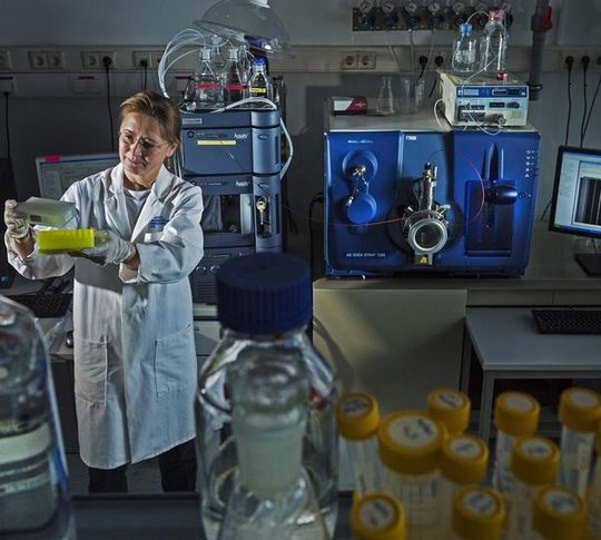 Abb. 1: Dr. Ulrike Rolle-Kampczyk bei der Analyse der Serumproben am Acquity-UPLC-Chromatographen und Q-Trap-Massenspektrometer des UFZ. Abb. 1: Dr. Ulrike Rolle-Kampczyk bei der Analyse der Serumproben am Acquity-UPLC-Chromatographen und Q-Trap-Massenspektrometer des UFZ.