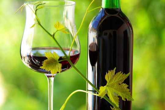 Schwefeldioxid verleiht Lebensmitteln wie Wein längere Haltbarkeit, kann aber unerwünschte Effekte hervorrufen, besonderes bei Allergikern. Mit der Neuentwicklung aus dem EU-finanzierten Projekt „SO2SAY“ könnte das schon bald der Vergangenheit angehören. Schwefeldioxid verleiht Lebensmitteln wie Wein längere Haltbarkeit, kann aber unerwünschte Effekte hervorrufen, besonderes bei Allergikern. Mit der Neuentwicklung aus dem EU-finanzierten Projekt „SO2SAY“ könnte das schon bald der Vergangenheit angehören.