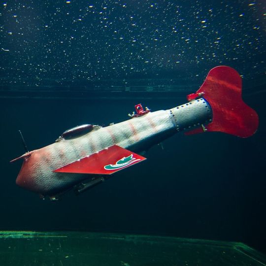 Der Roboter-Fisch Grace bei Schwimmversuchen im Labor Der Roboter-Fisch Grace bei Schwimmversuchen im Labor