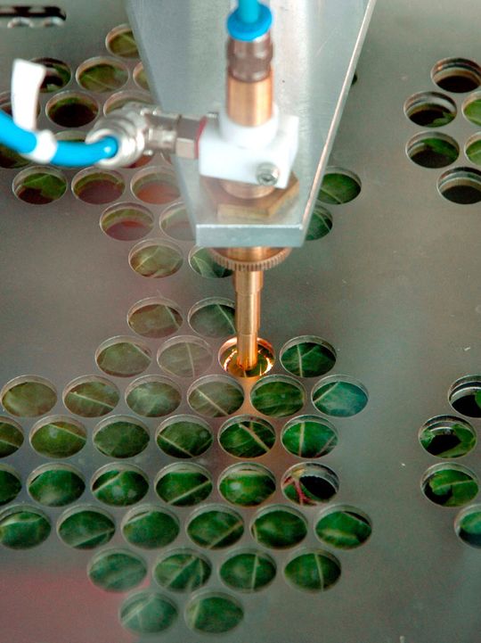 Wie Konfetti sehen die Tausenden kleinen runden Blattstückchen aus, die für Versuche in der Fungizidforschung genutzt werden. Ein Laborroboter schneidet die Blattstückchen mithilfe eines Lasers aus den Blättern. Wie Konfetti sehen die Tausenden kleinen runden Blattstückchen aus, die für Versuche in der Fungizidforschung genutzt werden. Ein Laborroboter schneidet die Blattstückchen mithilfe eines Lasers aus den Blättern.