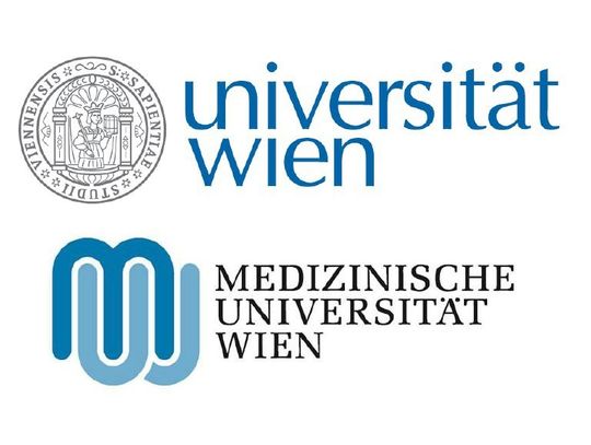 Abb. 1: Wiener Forscher konnten einen neuen "Schalter" des Immunsystems identifizieren. Abb. 1: Wiener Forscher konnten einen neuen "Schalter" des Immunsystems identifizieren.