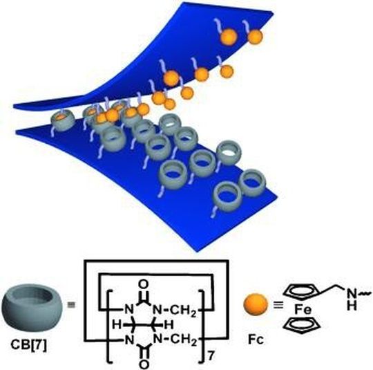 Wie ein Klettverschluss binden die Ferrocene (gelb) in die Cucurbite (grau) und verbinden die Werkteile (blau) auch unter Wasser sicher.
