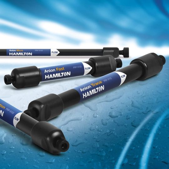 Hochwertige Trennsäulen für zahlreiche Anwendungsbereiche: die Anion-Säulenlinie von Hamilton. Hochwertige Trennsäulen für zahlreiche Anwendungsbereiche: die Anion-Säulenlinie von Hamilton.