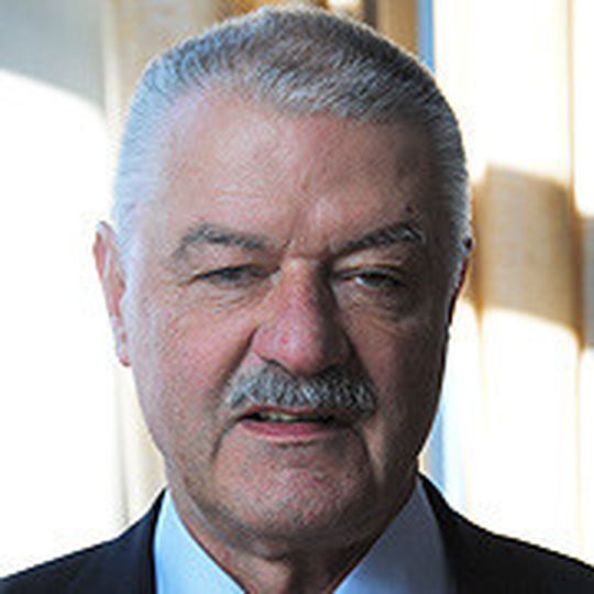 BGH-Richter Wolfgang Ball.