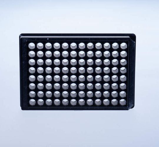 Greiner Bio-One stellt mit der 96 Well Sensoplate Plus eine Mikroskopieplatte für den Einsatz in der hochauflösenden Mikroskopie und der Fluoreszenz-Korrelations-Spektroskopie (FCS) vor. Greiner Bio-One stellt mit der 96 Well Sensoplate Plus eine Mikroskopieplatte für den Einsatz in der hochauflösenden Mikroskopie und der Fluoreszenz-Korrelations-Spektroskopie (FCS) vor.
