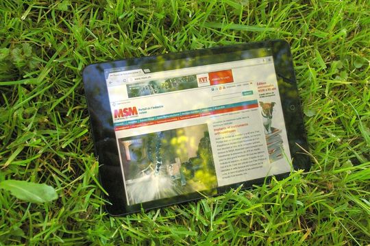 Premier prix printanier du concours, le MSM fête ses 80 ans de succès. Premier prix printanier du concours, le MSM fête ses 80 ans de succès.