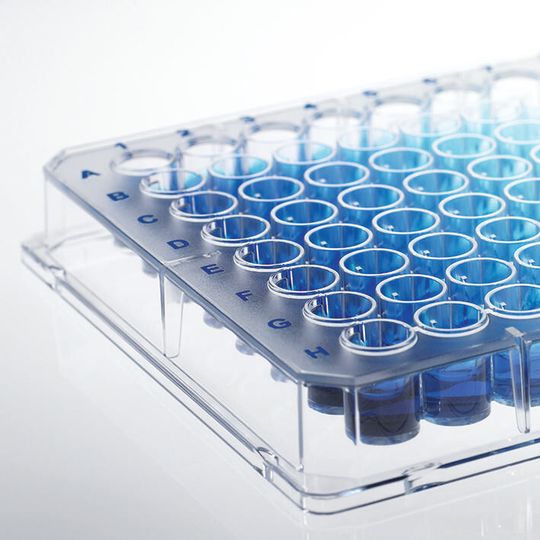Brandplates Mikrotiterplatten mit immunograde Oberfläche Brandplates Mikrotiterplatten mit immunograde Oberfläche