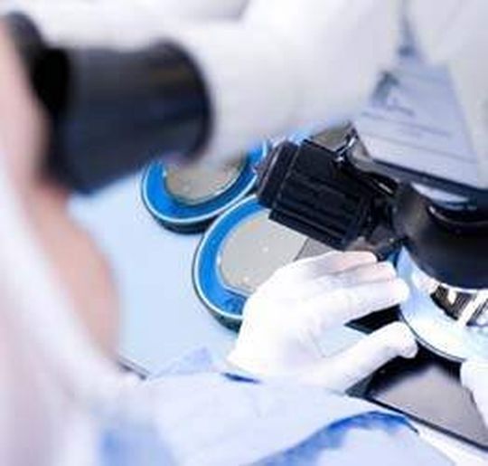 Eine neue Studie zur Rolle von Membranlipiden kann zu neuen Behandlungsmethoden von Amphetmani-Abhängigen führen. Eine neue Studie zur Rolle von Membranlipiden kann zu neuen Behandlungsmethoden von Amphetmani-Abhängigen führen.