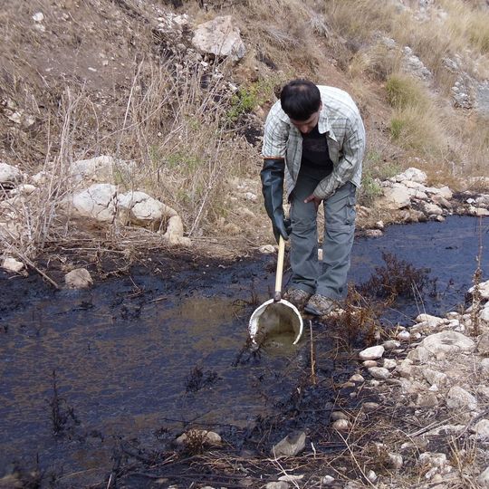 Abb. 1: Bei der Olivenölproduktion anfallendes Abwasser wird in vielen Ländern häufig auf Äckern entsorgt. Hier ein Wissenschaftler bei der Probennahme im Wadi Qana im Westjordanland. Abb. 1: Bei der Olivenölproduktion anfallendes Abwasser wird in vielen Ländern häufig auf Äckern entsorgt. Hier ein Wissenschaftler bei der Probennahme im Wadi Qana im Westjordanland.