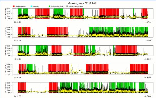 Aufzeichnung von Kaubewegungen einer Kuh mithilfe eines "MSR Spezial Datenlogger"