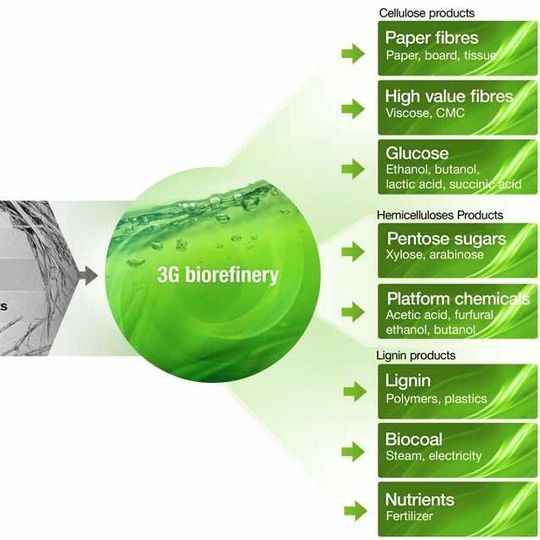 A biorefinery based on 3G biorefining technology processes non-food biomasses, such as sugarcane bagasse and straws and even wood, into pure cellulosic sugars, advanced biofuels, multiple value-added biochemicals and biocoal while producing surplus bioenergy into the grid A biorefinery based on 3G biorefining technology processes non-food biomasses, such as sugarcane bagasse and straws and even wood, into pure cellulosic sugars, advanced biofuels, multiple value-added biochemicals and biocoal while producing surplus bioenergy into the grid