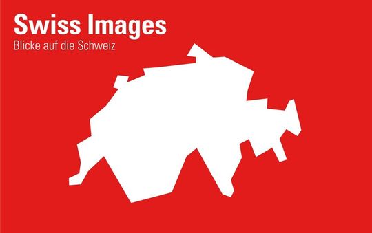 Das 25. internat. Europa Forum Luzern widmet sich dem Thema "Swiss Images – Blicke auf die Schweiz" Das 25. internat. Europa Forum Luzern widmet sich dem Thema "Swiss Images – Blicke auf die Schweiz"
