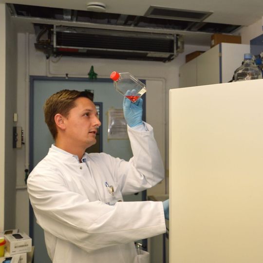 Abb. 1: Mit Hilfe von Zellkulturmodellen untersucht Prof. Sebastian Zeißig die Ursachen von chronisch-entzündlichen Darmerkrankungen und Darmkrebs. Abb. 1: Mit Hilfe von Zellkulturmodellen untersucht Prof. Sebastian Zeißig die Ursachen von chronisch-entzündlichen Darmerkrankungen und Darmkrebs.