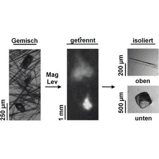 Ein neues Verfahren ermöglicht mittels magnetischer Levitation die Auftrennung unterschiedlicher Kristallformen von Verbindungen, z.B. Pharmaka. Ein neues Verfahren ermöglicht mittels magnetischer Levitation die Auftrennung unterschiedlicher Kristallformen von Verbindungen, z.B. Pharmaka.