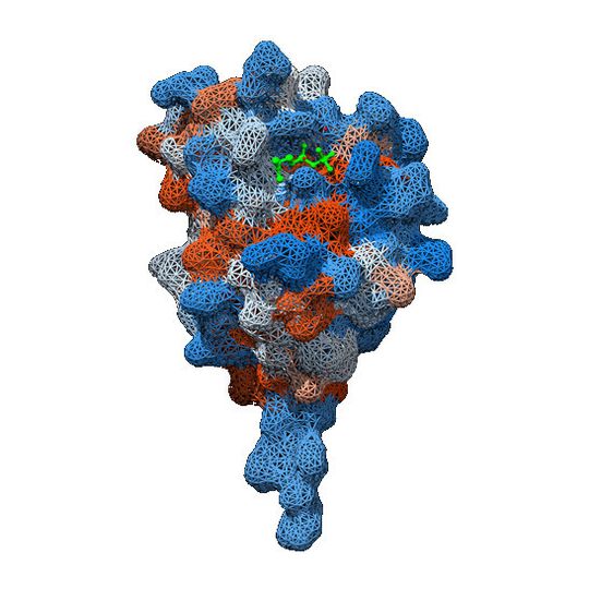 Bindet an Antigenen an und aktiviert Immunabwehr: Das neu entdeckte Protein Butyrophilin 3A1. Bindet an Antigenen an und aktiviert Immunabwehr: Das neu entdeckte Protein Butyrophilin 3A1.