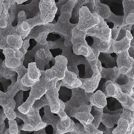 Abb. 1: Rasterelektroenmikroskopische Aufnahme der Struktur von Chromolith. Gut sichtbar sind in grau das mesoporöse Silicaskelett und makroporöse Transportporen. Abb. 1: Rasterelektroenmikroskopische Aufnahme der Struktur von Chromolith. Gut sichtbar sind in grau das mesoporöse Silicaskelett und makroporöse Transportporen.