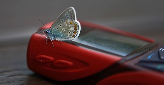 Social Butterfly, Working Professional oder Everything Tech? Eine neue Verbrauchertypisierung bringt die Konsumvorlieben amerikanischer Internetnutzer auf den Punkt. Social Butterfly, Working Professional oder Everything Tech? Eine neue Verbrauchertypisierung bringt die Konsumvorlieben amerikanischer Internetnutzer auf den Punkt.