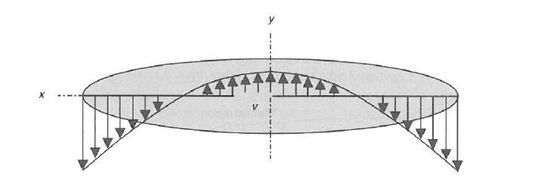 Fig 7. Détail d’un contact bille-chemin de bille montrant les amplitudes des vitesses de glissement.