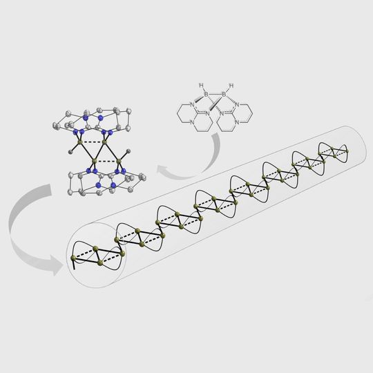 Aus zwei mach vier: In der neu entdeckten Kupplungsreaktion wird Molekül A in die (zweifach positiv geladene) Bor-Viererkette B umgewandelt, die nun als Ausgangsstoff für die Synthese von Borketten-Polymeren C dienen soll. Aus zwei mach vier: In der neu entdeckten Kupplungsreaktion wird Molekül A in die (zweifach positiv geladene) Bor-Viererkette B umgewandelt, die nun als Ausgangsstoff für die Synthese von Borketten-Polymeren C dienen soll.