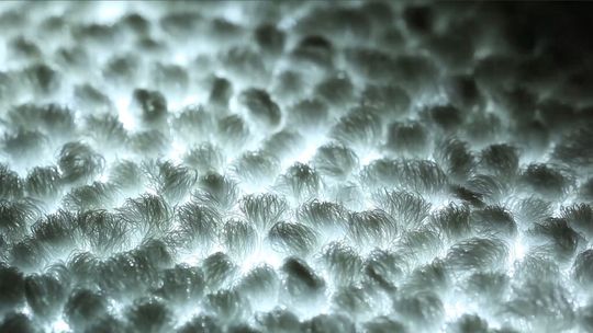 Der leuchtende Teppich ist nicht nur ein gestalterisches Objekt. Mit ihm lassen sich Informationen und Hinweise anzeigen. Der leuchtende Teppich ist nicht nur ein gestalterisches Objekt. Mit ihm lassen sich Informationen und Hinweise anzeigen.