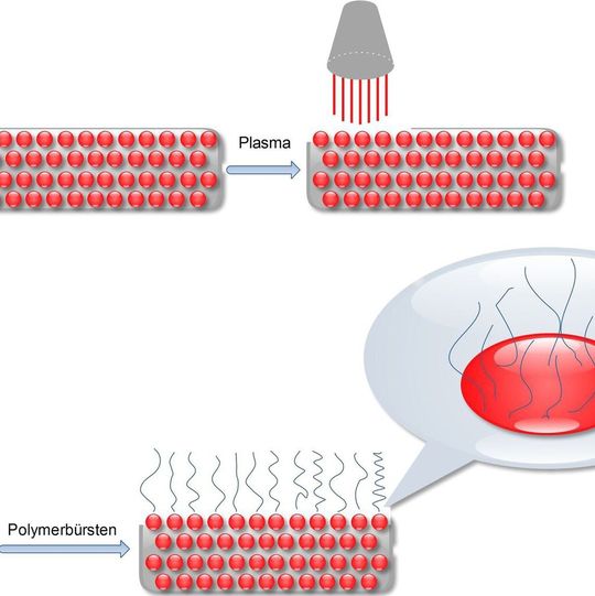 Kombination von kratzfesten Lacken mit schaltbaren Polymeroberflächen, die über Atmosphärendruck-Plasmafunktionalisierung an die SiO2-stabilisierten Klarlacke kovalent angebunden werden können. Kombination von kratzfesten Lacken mit schaltbaren Polymeroberflächen, die über Atmosphärendruck-Plasmafunktionalisierung an die SiO2-stabilisierten Klarlacke kovalent angebunden werden können.