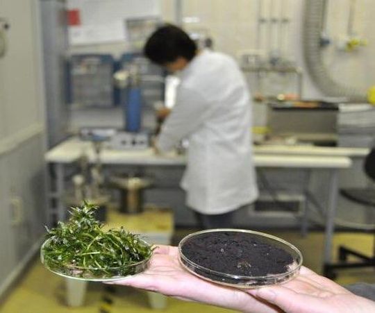 Wissenschaftler untersuchen im Forschungsprojekt die hydrothermale Carbonisierung von Klärschlämmen. Ziel ist die Entwicklung hochwertiger Bodenhilfsstoffe und Dünger. Wissenschaftler untersuchen im Forschungsprojekt die hydrothermale Carbonisierung von Klärschlämmen. Ziel ist die Entwicklung hochwertiger Bodenhilfsstoffe und Dünger.