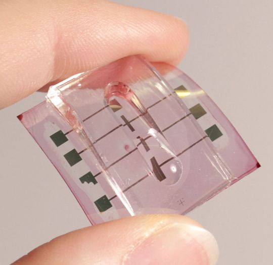 Mit organischer Elektronik zum Ionensensor der Zukunft: der Transistor im Detail im direkten Kontakt mit Wasser. Mit organischer Elektronik zum Ionensensor der Zukunft: der Transistor im Detail im direkten Kontakt mit Wasser.