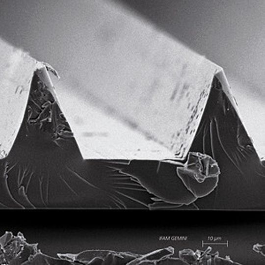 Diese Rillenstruktur haben Forscher des Fraunhofer IFAM vom Haifisch auf Windkraftanlagen übertragen. Diese Rillenstruktur haben Forscher des Fraunhofer IFAM vom Haifisch auf Windkraftanlagen übertragen.